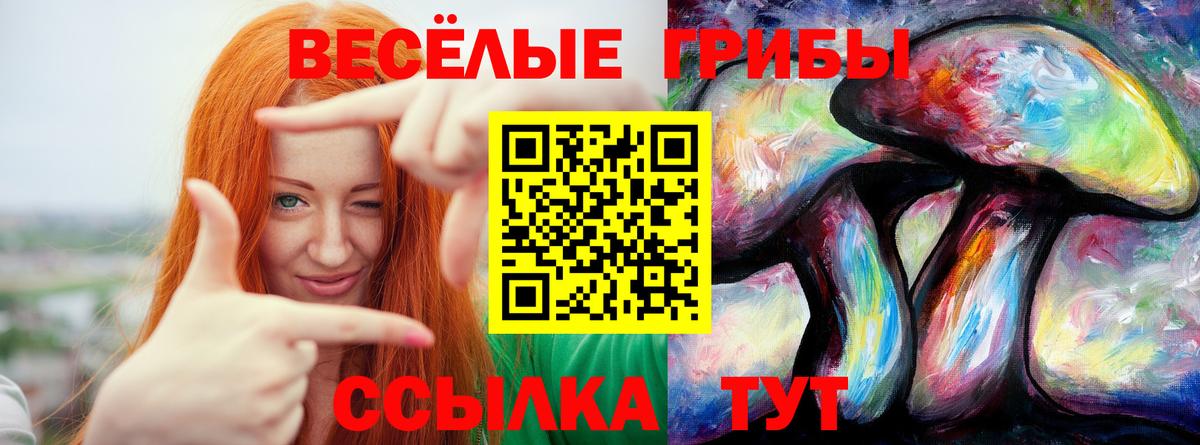 Псилоцибиновые грибы Psilocybe  Вход с VPN  Орёл 